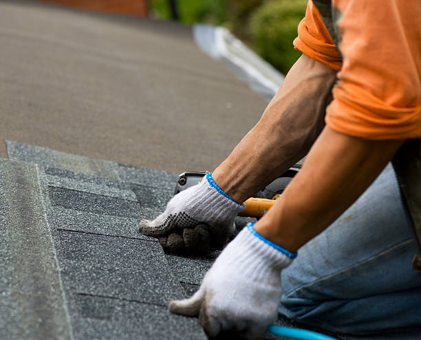 Best Shingle Roofing Installation  in Mirrormont, WA